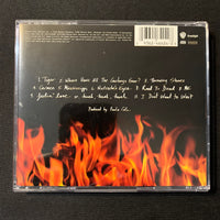 CD Paula Cole 'This Fire' (1996) I Don't Want To Wait, Where Have All the Cowboys Gone