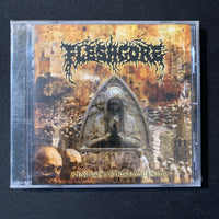 CD Fleshgore 'May God Strike Me Dead' (2006) Ukraine death metal