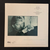 LP Peter Cetera 'One More Story' (1988) VG+/VG+ vinyl record