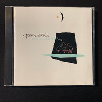 CD Peter Cetera 'One More Story' (1988) One Good Woman