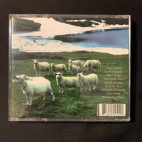 CD Finding Home 'Sheepdog Diary' Christian music