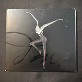 CD Dave Matthews Band 'Stand Up' (2005) digipak Dreamgirl, American Baby