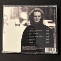CD Jesse Cook 'Vertigo' (1998) Narada
