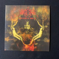 CD Fairytale Abuse 'Perversions of Angel VI' (2008) promo sleeve