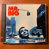 CD Mr. Big 'Bump Ahead' (1993) Wild World, Ain't Seen Love Like That, Colorado Bulldog