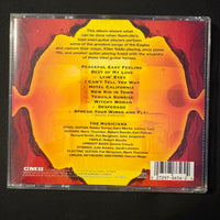 CD Steel Guitar Tribute To the Eagles (2002) Hotel California, Desperado, New Kid In Town