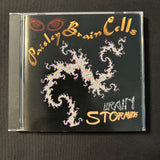 CD Paisley Brain Cells 'Brainstorming' (1994) Reno Nevada jam band