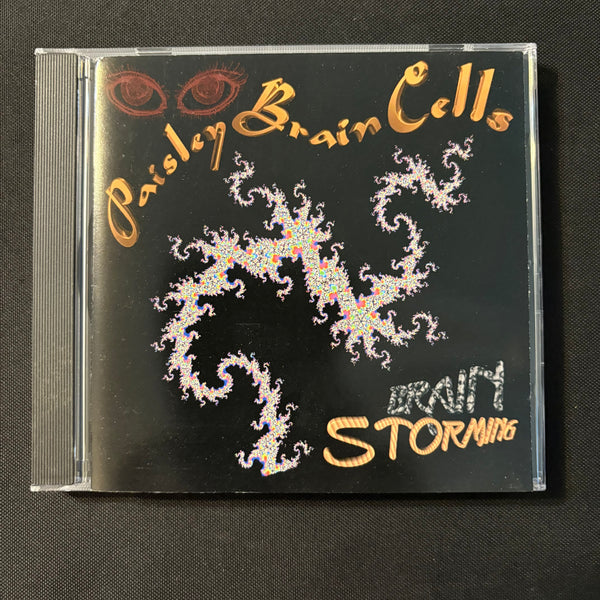 CD Paisley Brain Cells 'Brainstorming' (1994) Reno Nevada jam band