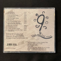 CD Blue Number Nine 'On a Shoestring' (2003) New Jersey funky rock