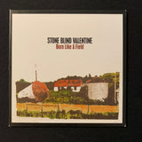 CD Stone Blind Valentine 'Burn Like a Field' (2012) Chicago new school folk bluegrass