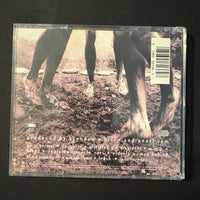 CD Pearl Jam 'Vs' (1993) Daughter, Animal, Go, Dissident