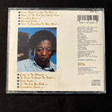 CD Buddy Guy 'Damn Right, I've Got the Blues' (1991) Mustang Sally