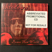 CD Intodown 'Brave New World' psychedelic guitar meets industrial prog