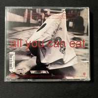 CD k.d. lang 'All You Can Eat' (1995) If I Were You