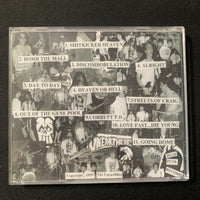CD The Unearthlies 'Sh-tkicker Heaven' (1999) Toledo Ohio demo punk rock garage