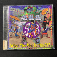 CD Serious Aeolian Belfry 'What the Hell Is This?' (2001) Cleveland jam funk band