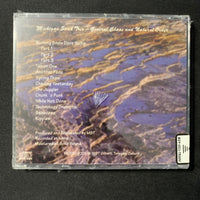 CD Michigan Stick Trio 'General Chaos and Natural Order' (1997) Chapman stick